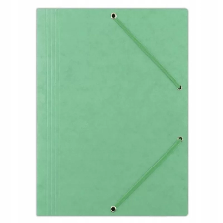 TECZKA Z GUMKĄ DONAU PRESZPAN A4 390GSM 3-SKRZ. JASNOZIELONA