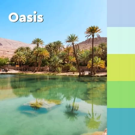 Karteczki samoprzylepne Super Sticky OASIS
